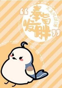 cover for gain weight