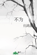 COVER FOR BU WEI